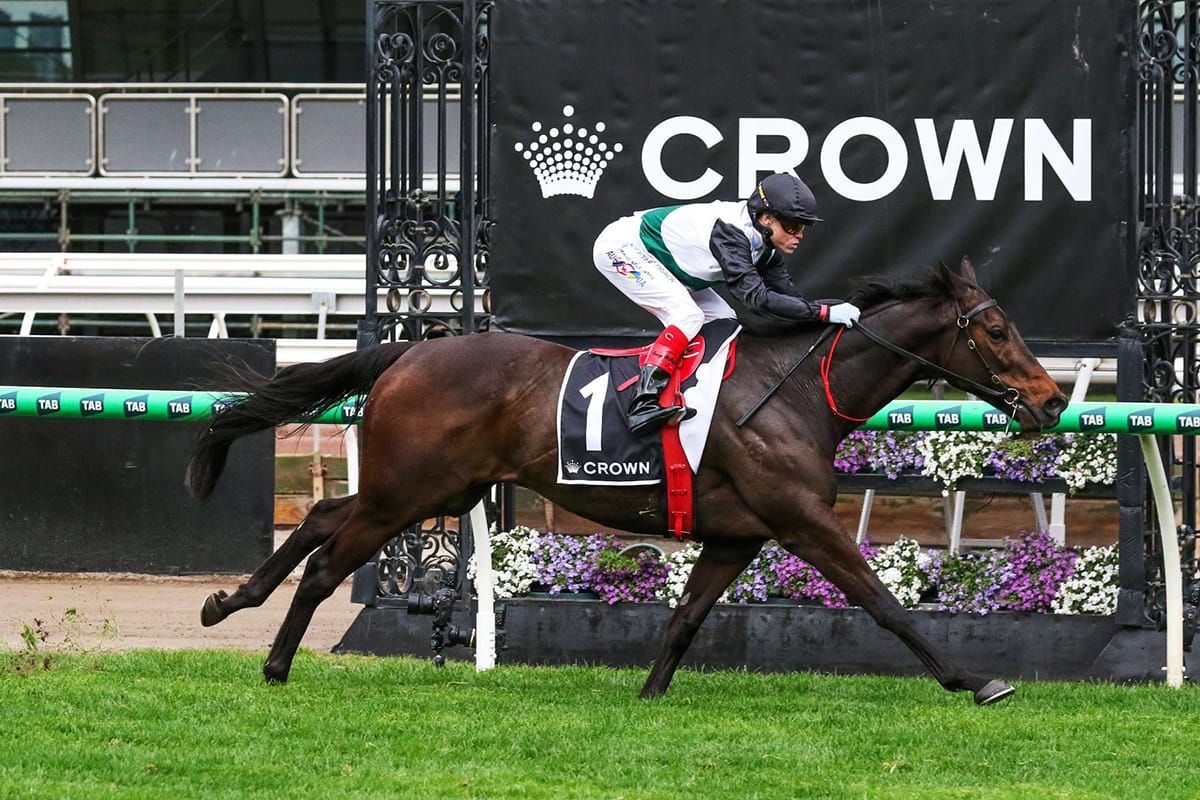 Mr B shoots for fourth Makybe Diva win