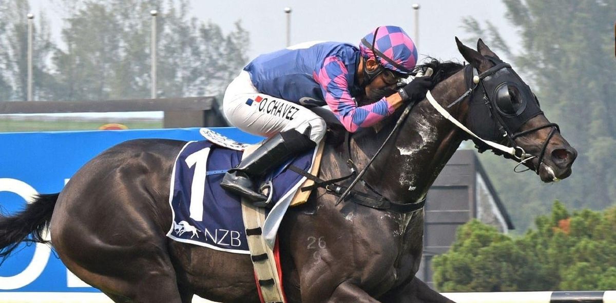 Platinum Emperor rules NZB Open Championship