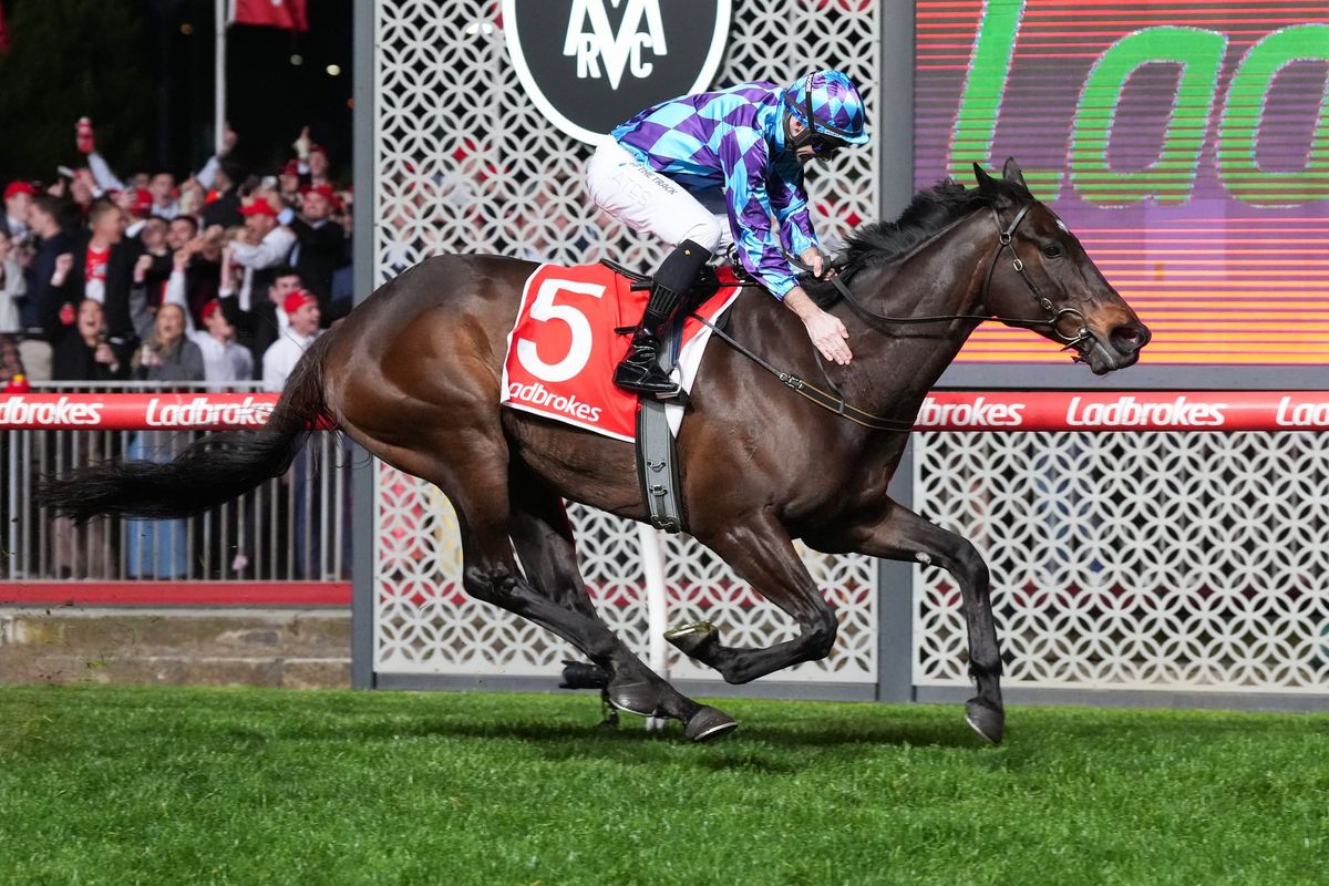 ‘As good as ever’: Jenni primed for Feehan hat-trick