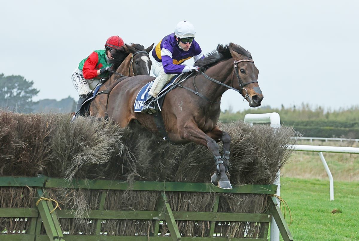 Smug to tackle postponed Pakuranga Hunt Cup