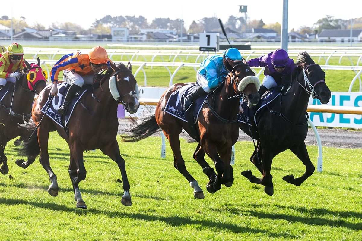 Sweet taste of success for Te Akau filly in Canterbury Belle