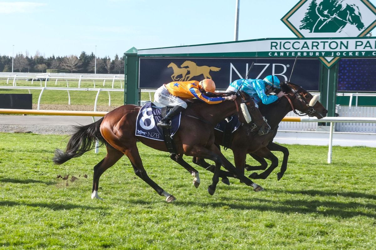 Wentwood Grange fillies shining this spring