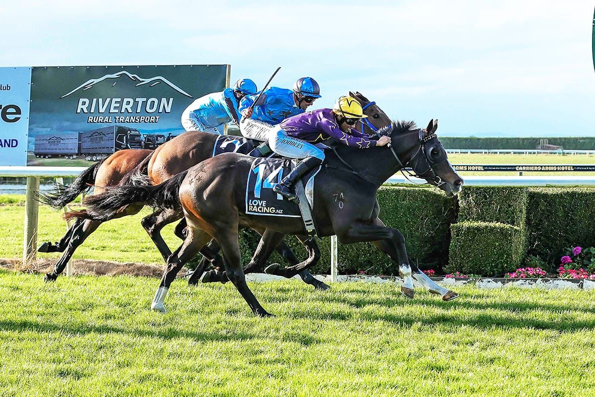 Stumbles seeking sentimental home victory
