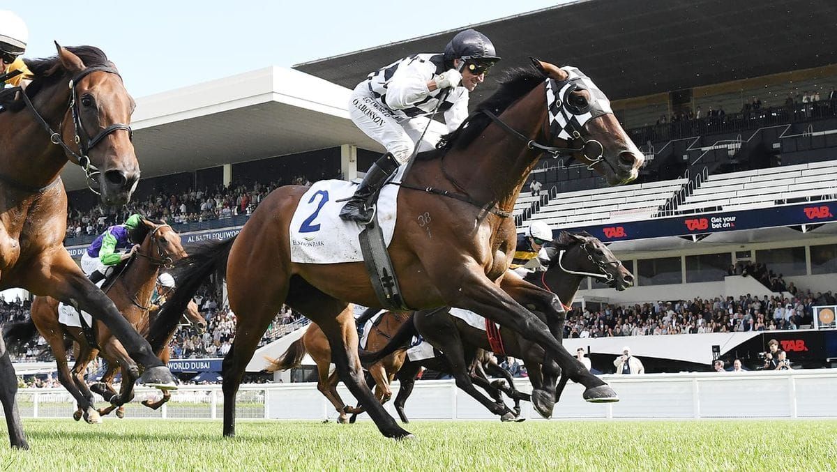 Tuxedo primed for strong Proisir performance