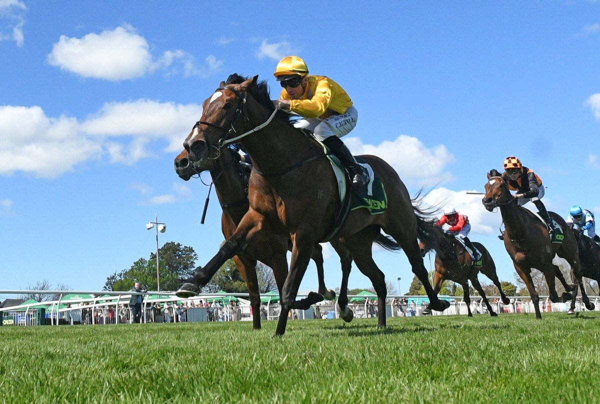 Didham duo to clash in Spring Sprint