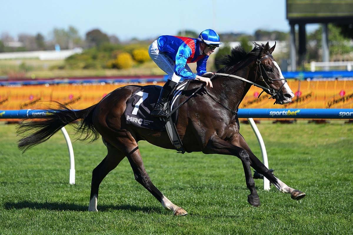 Zambardo takes next step towards Cox Plate in Feehan