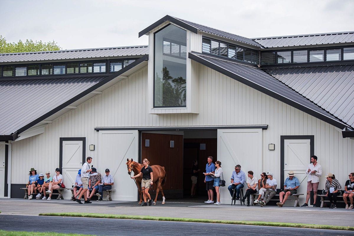 Cambridge Stud Backing Karaka 2027 100%
