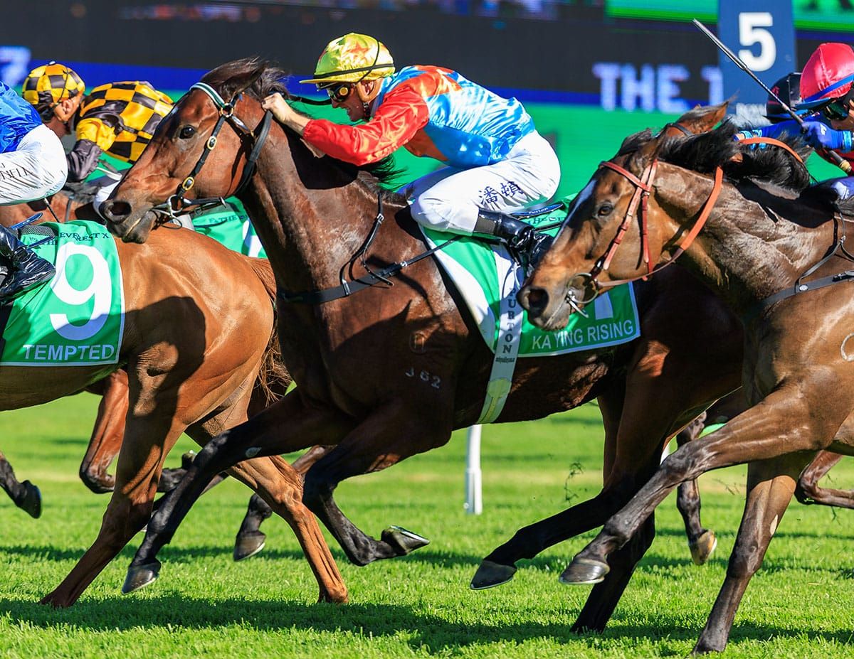 Ka Ying Rising on track for Hong Kong return