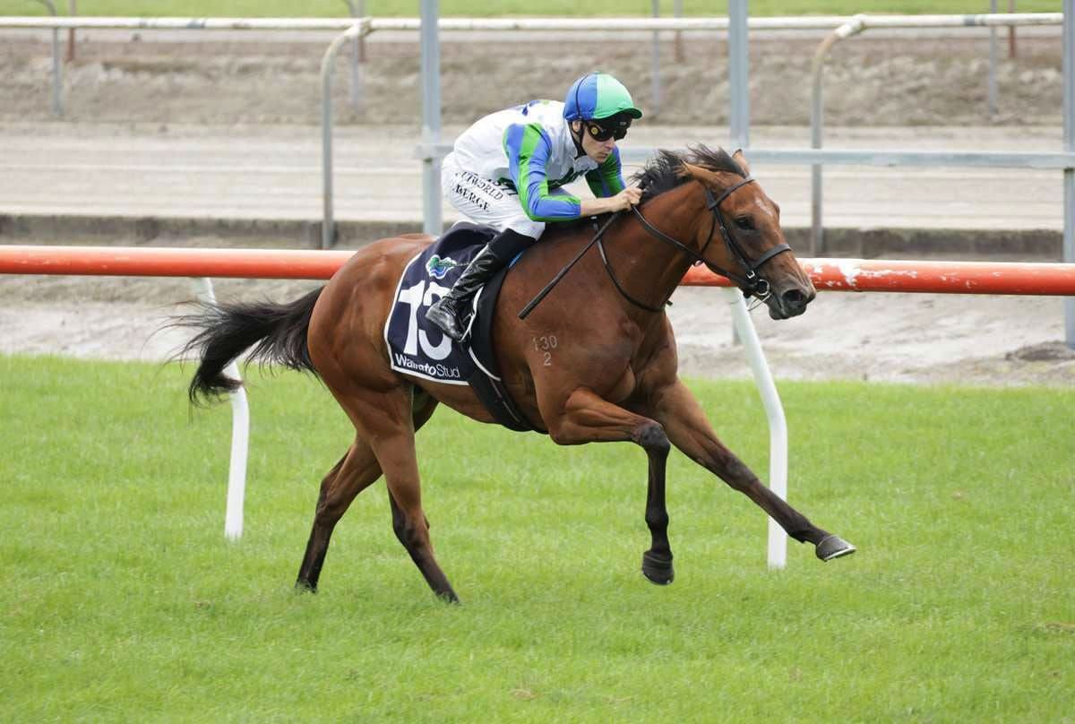 King Convinced of mare’s ability