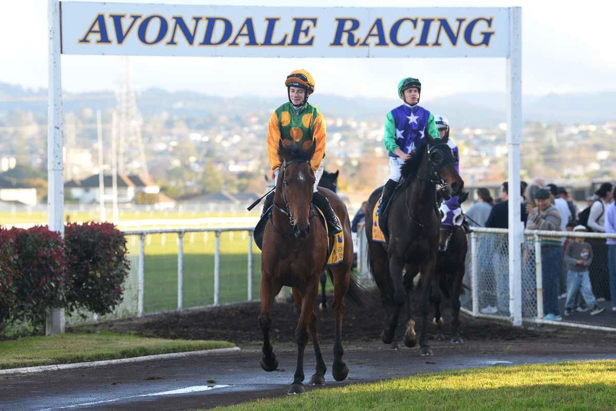 Avondale Jockey Club seeks legal clarity on land and racing future