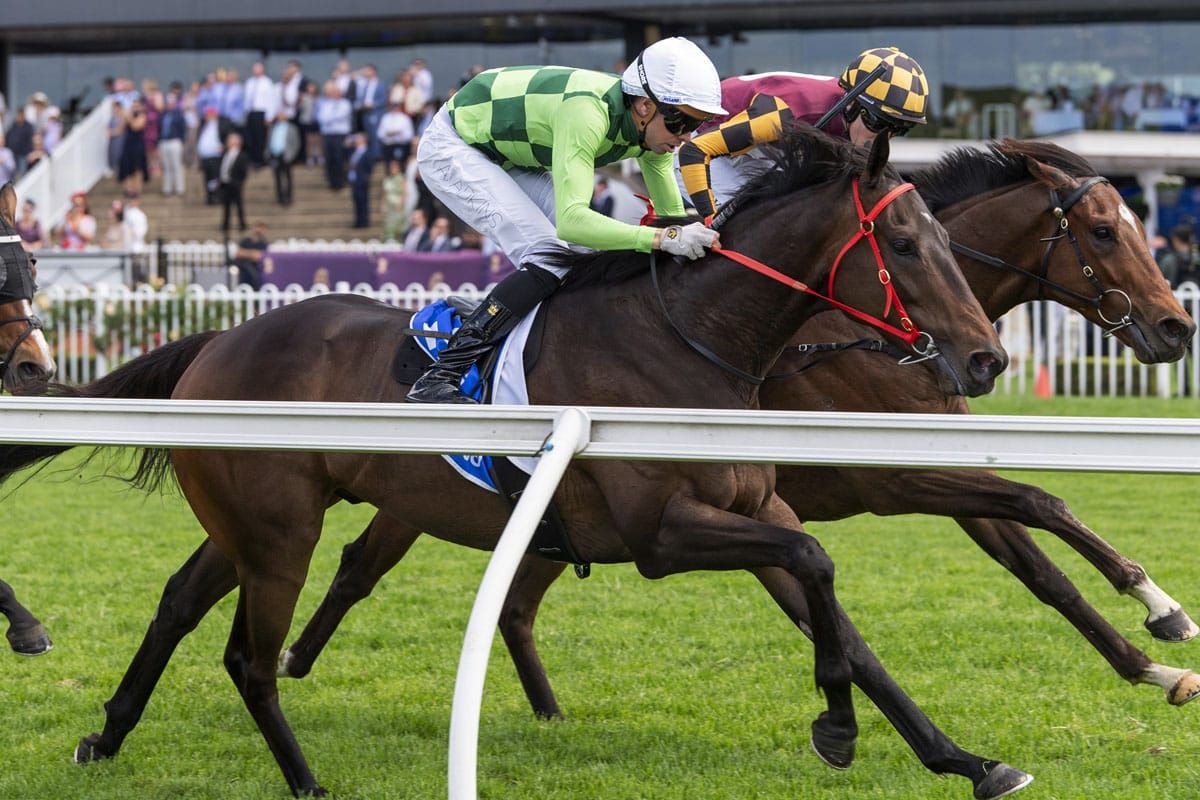 Gritty Anthracite sets new class record at Rosehill