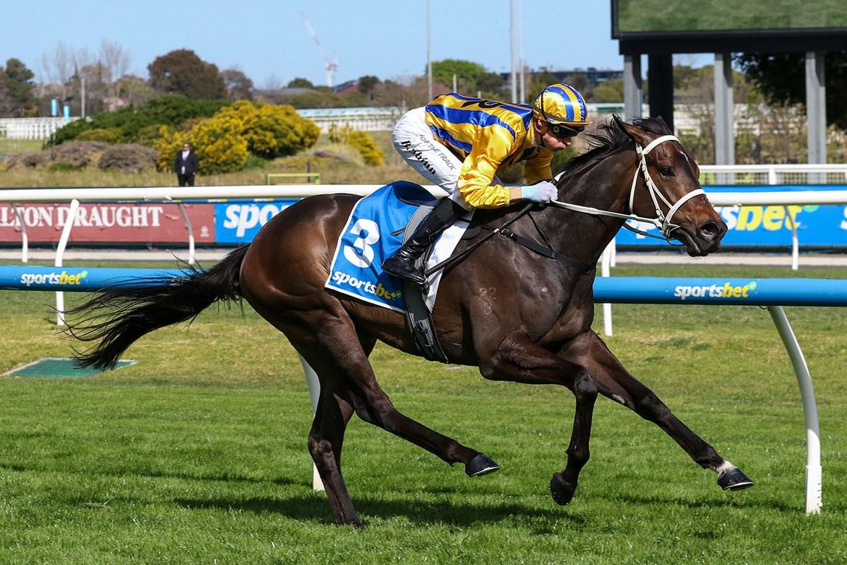 Blind Raise to take on Cox Plate challenge