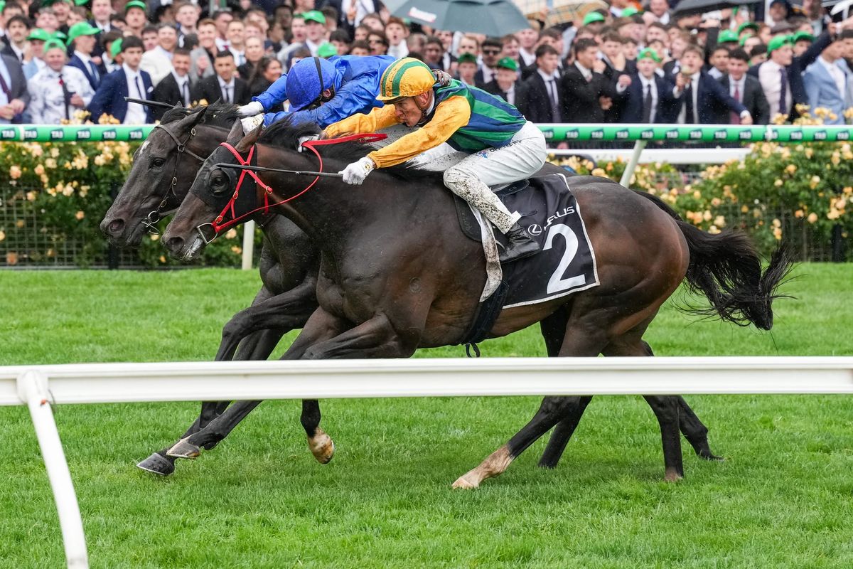 Wet conditions to aid Ceolwulf's King Charles defence