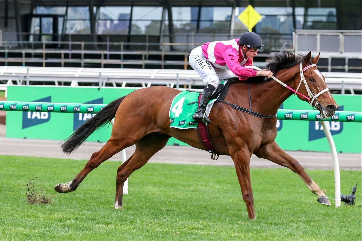 Cosmic Crusader chasing Caulfield Cup glory for Peters