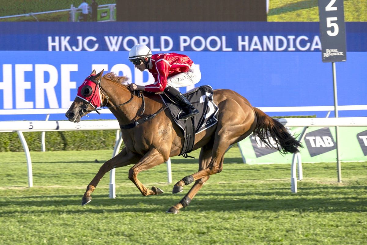 Cross Tasman overcomes wide run for tough Randwick win
