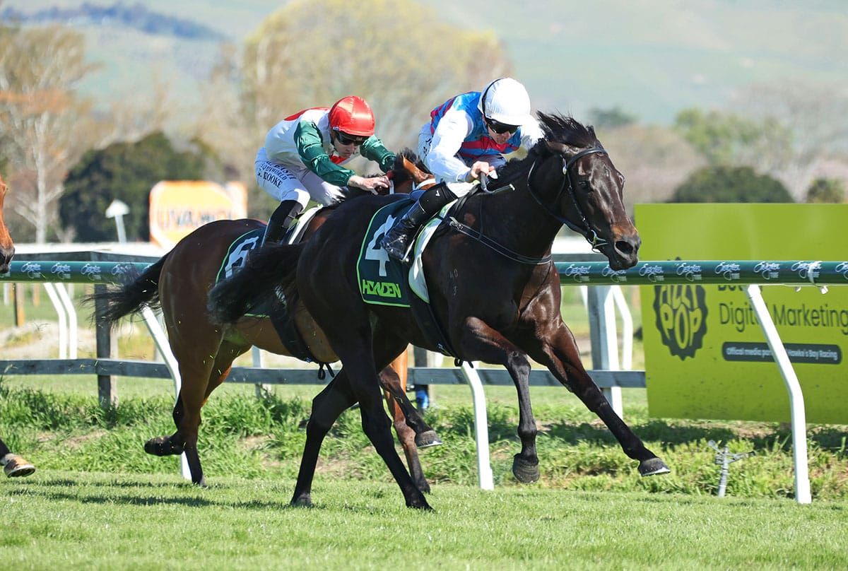 Hawea out of NZ 1000 Guineas