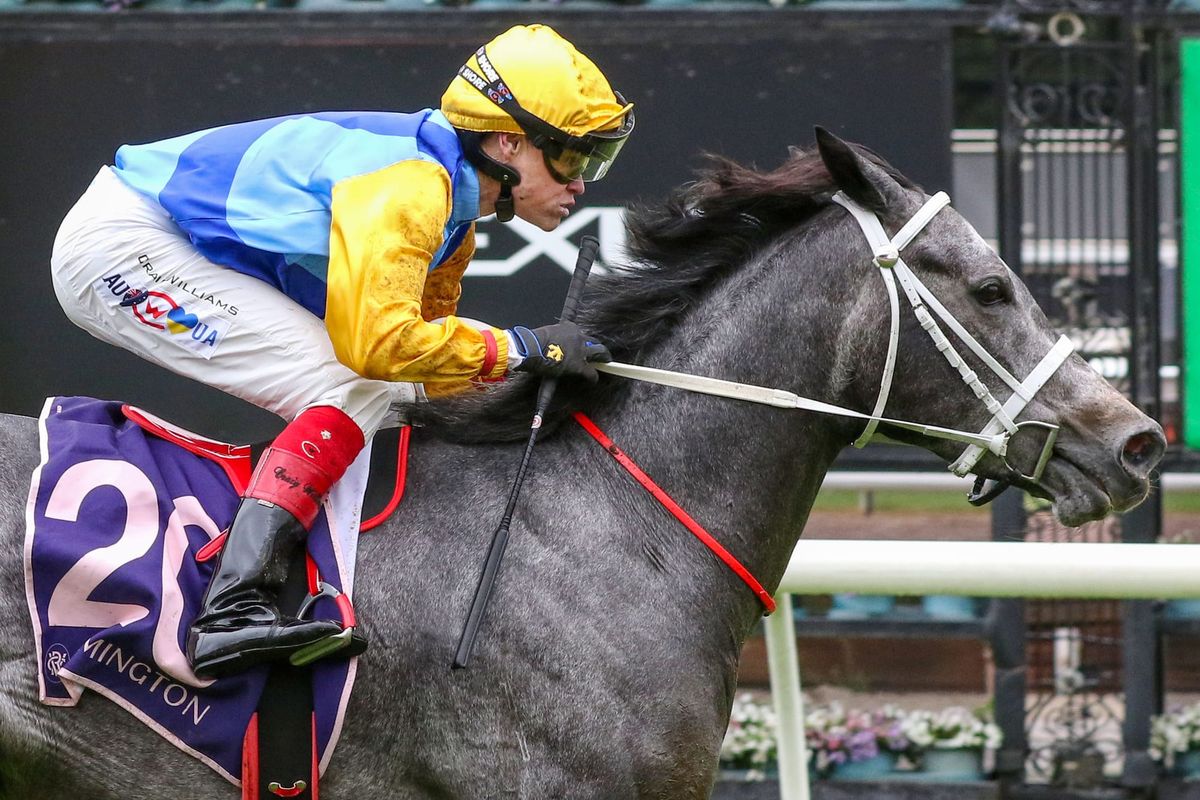 Hankee Alpha set for Rising Fast challenge