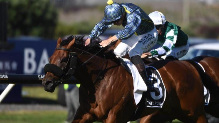 Mufhasa Classic in the crosshairs for Derby winner