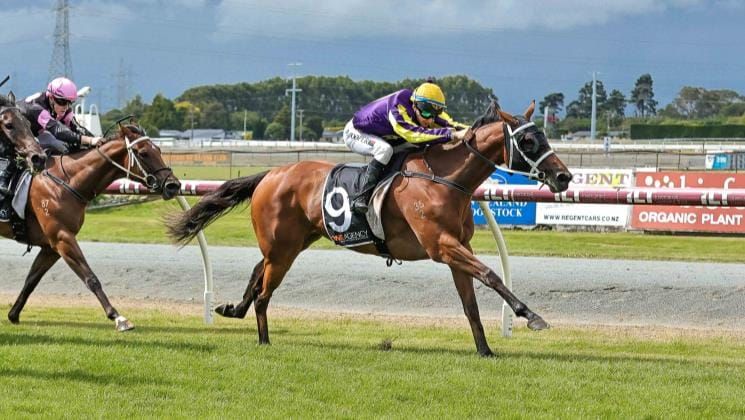 Cooper to reunite with dual Guineas winner