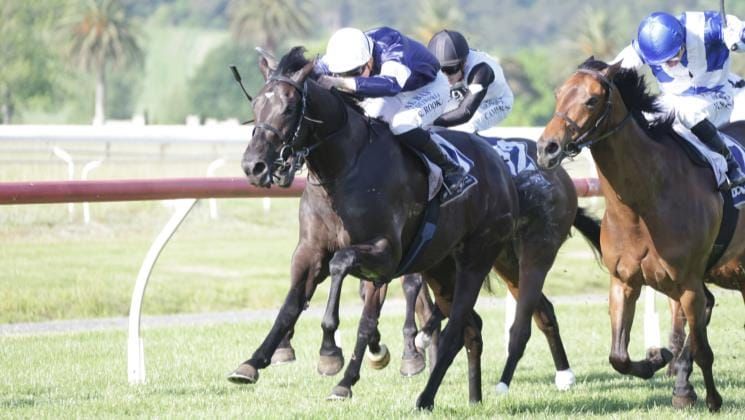 Melbourne Cup-winning partnership reunites