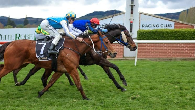 Well-related gelding shooting for back-to-back wins