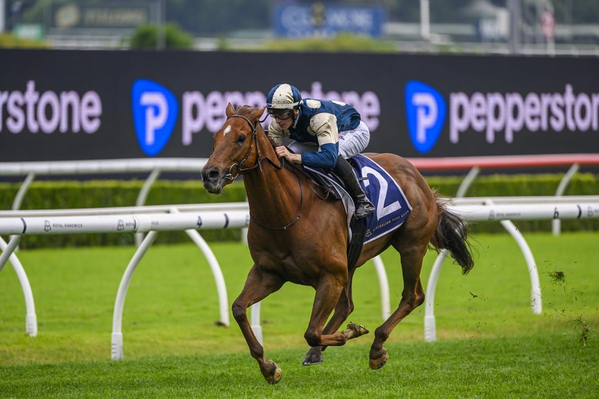 Jimmysstar primed for Russell Balding defence