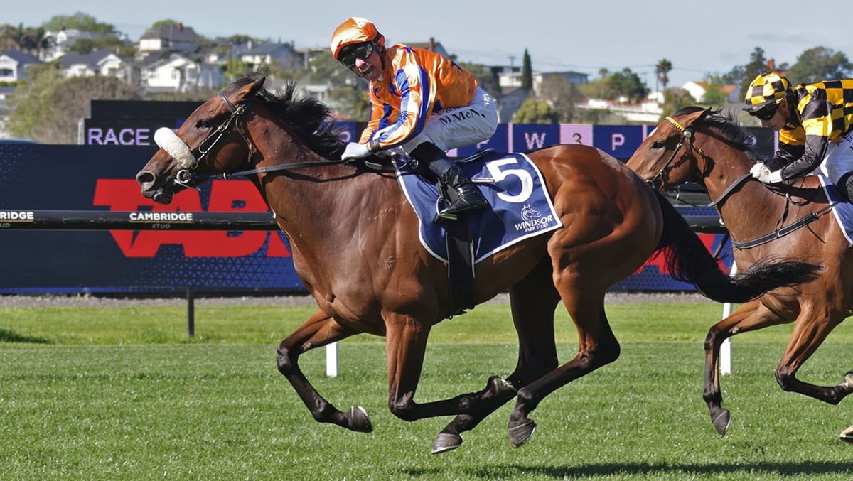 Asturia puts her name into contention for Riccarton fillies feature