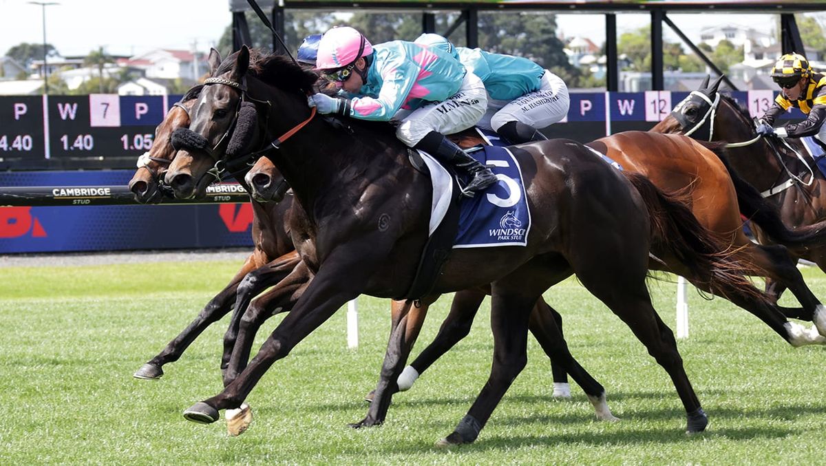 Moschino upsets at Ellerslie