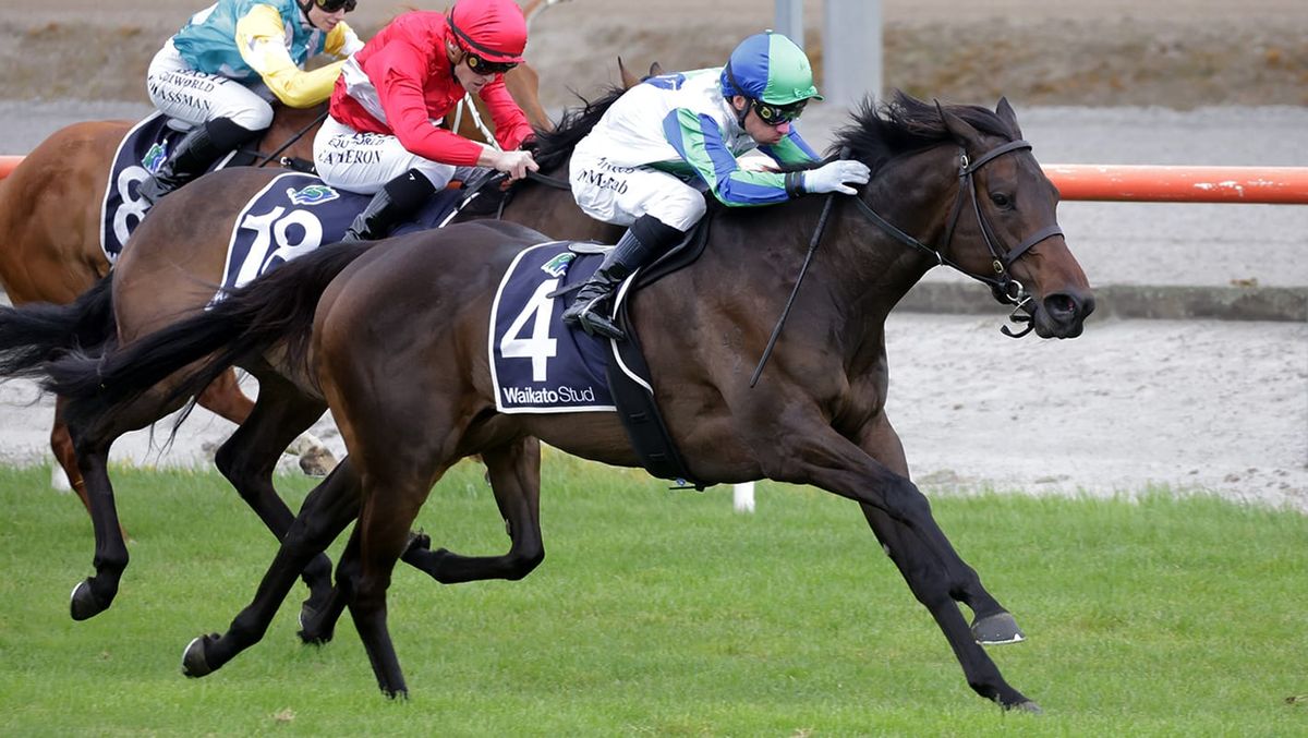 Impressive Matamata double for Waikato Stud graduates