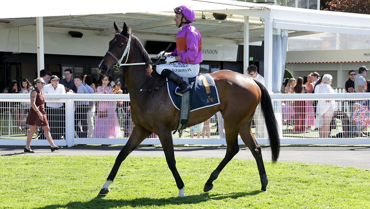 Class prevails in Ellerslie feature