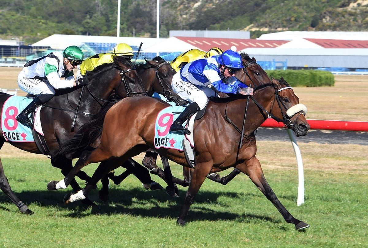 Hopes rest with home team after Melbourne disappointment