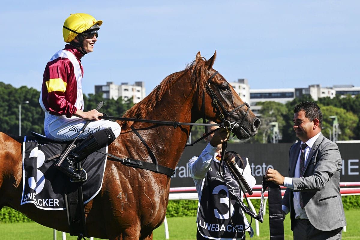 Linebacker ready to step up at Randwick