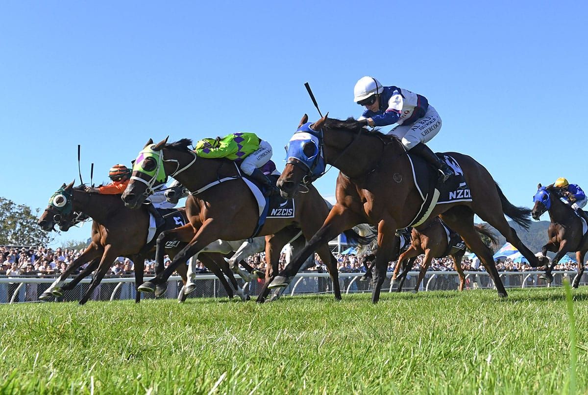 Manzor Blue shooting for Melbourne Cup golden ticket