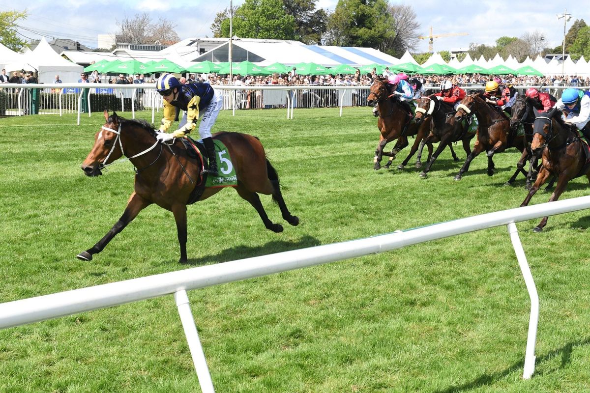 Navy Dreams up to the East Coast Challenge