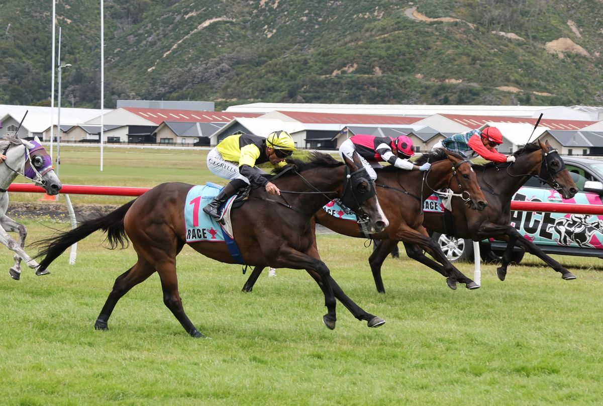 Weight the only worry for One Bold Cat in Waverley Cup