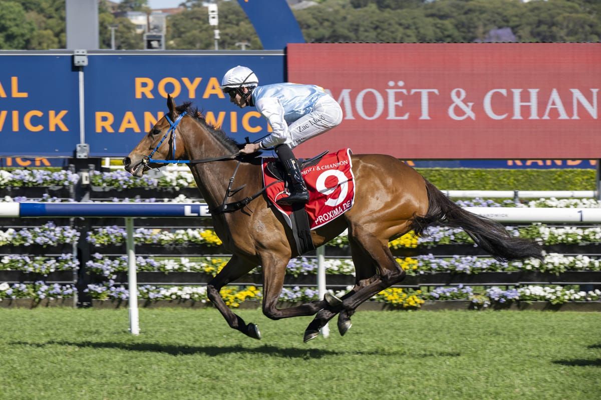 Tarzino filly adds Spring Champion to perfect record