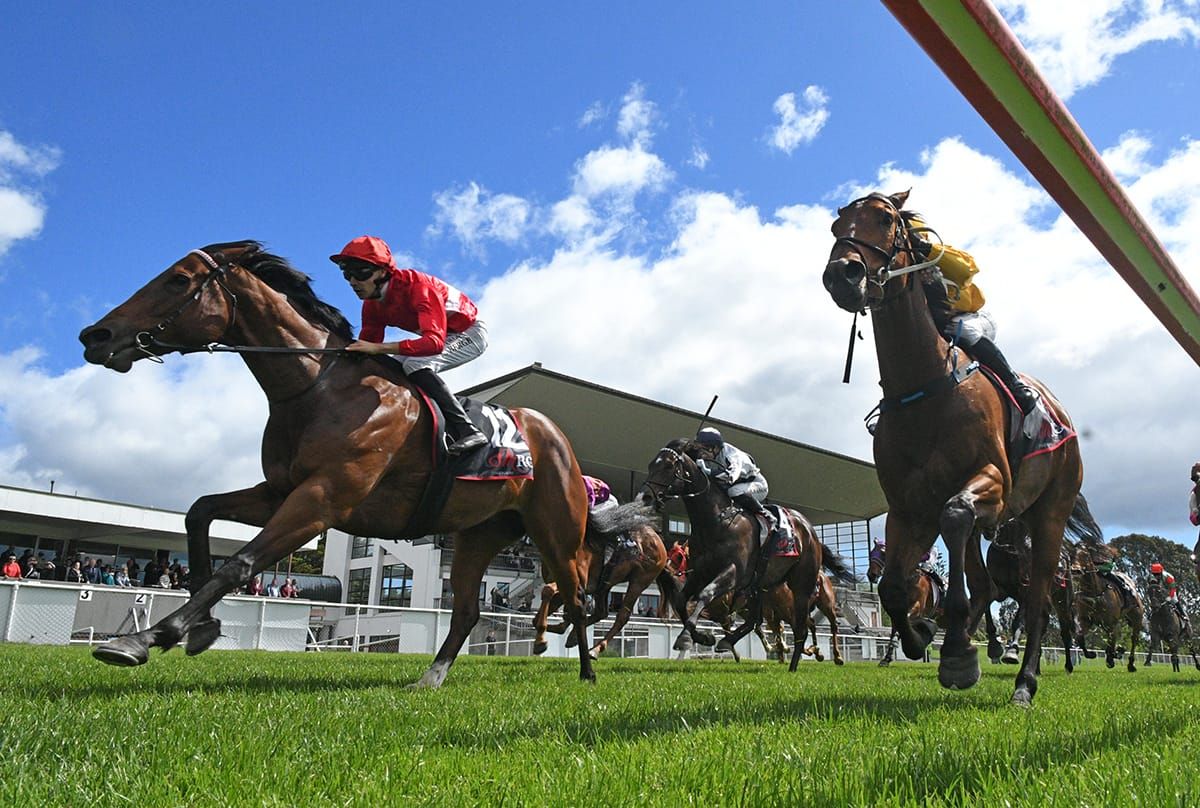 Rareza back with a vengeance at Otaki
