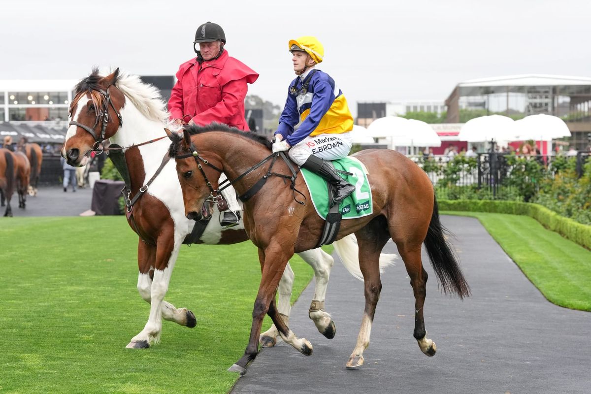 Saintly Dancer has Hawkins dreaming of Guineas glory
