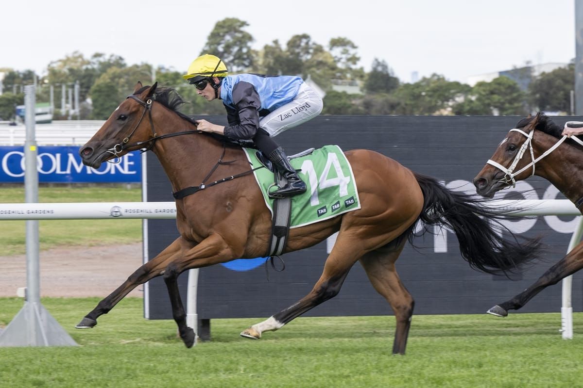 Satono Glow shines in Roman Consul triumph