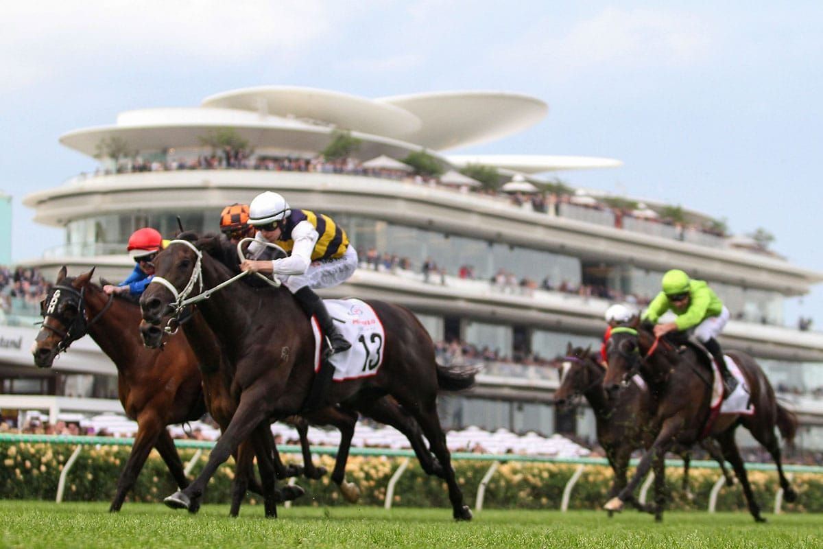 Soverato set for Matriarch Stakes challenge