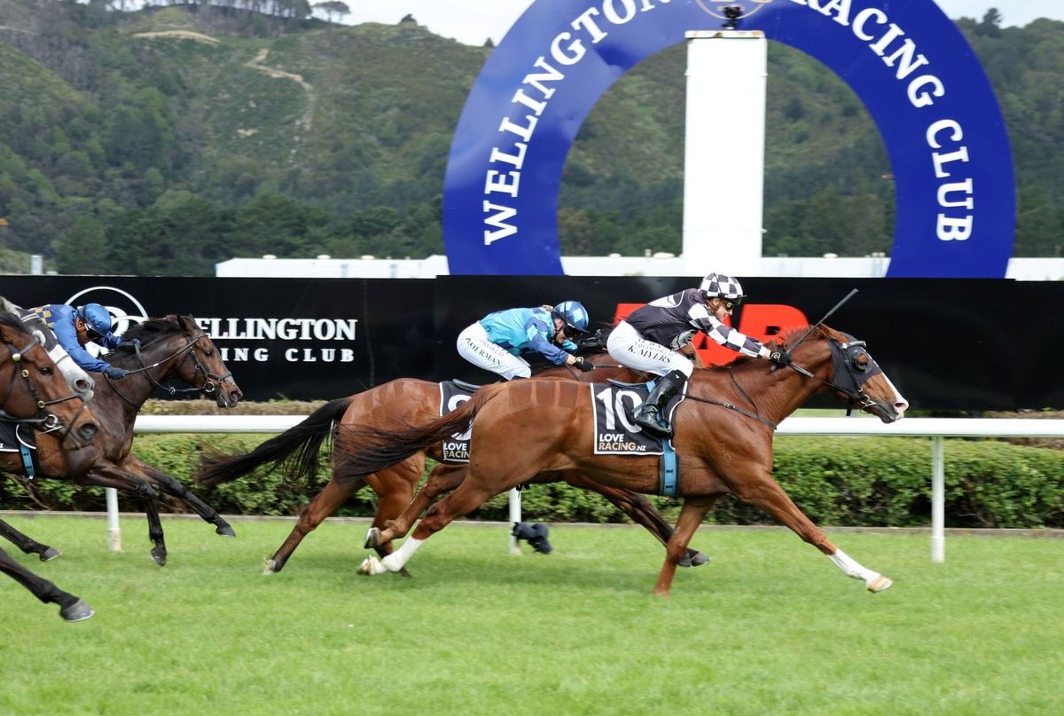 Outstanding Myers ride helps Tisse win Thompson Handicap