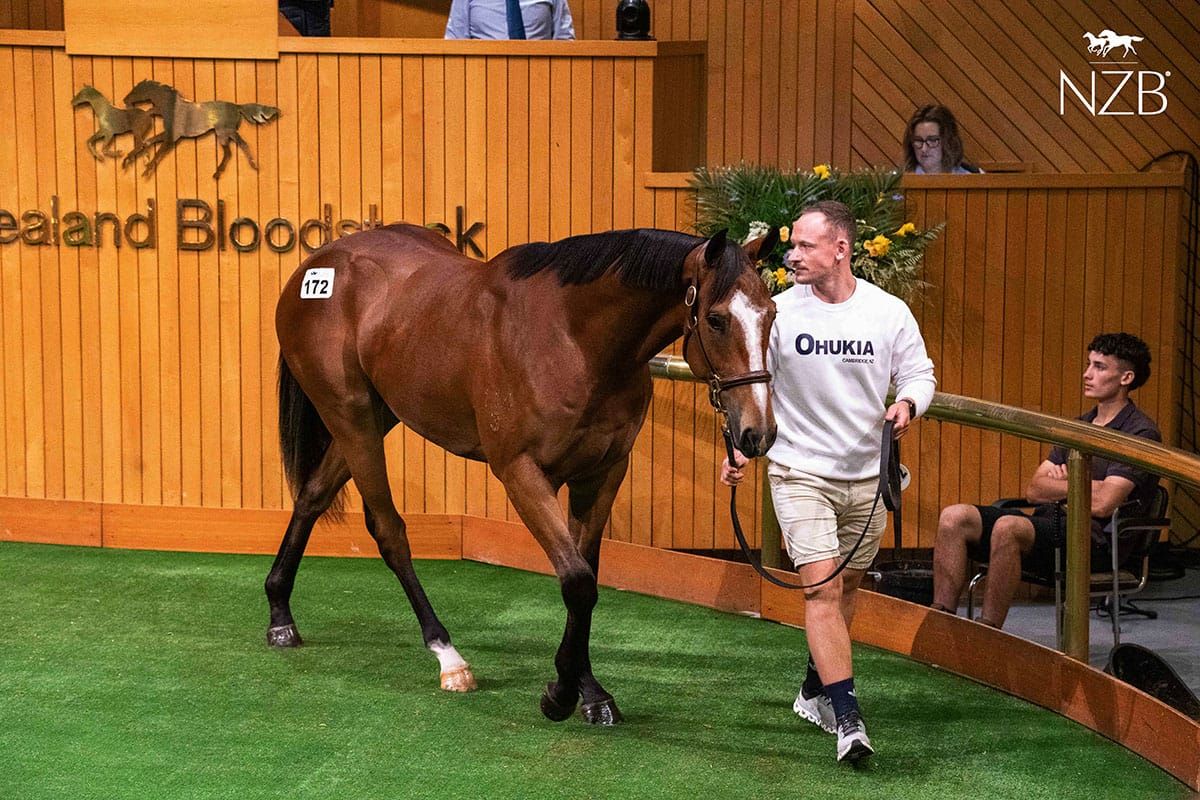 Group One Contenders Boost Ready to Run Excitement for Ohukia Lodge
