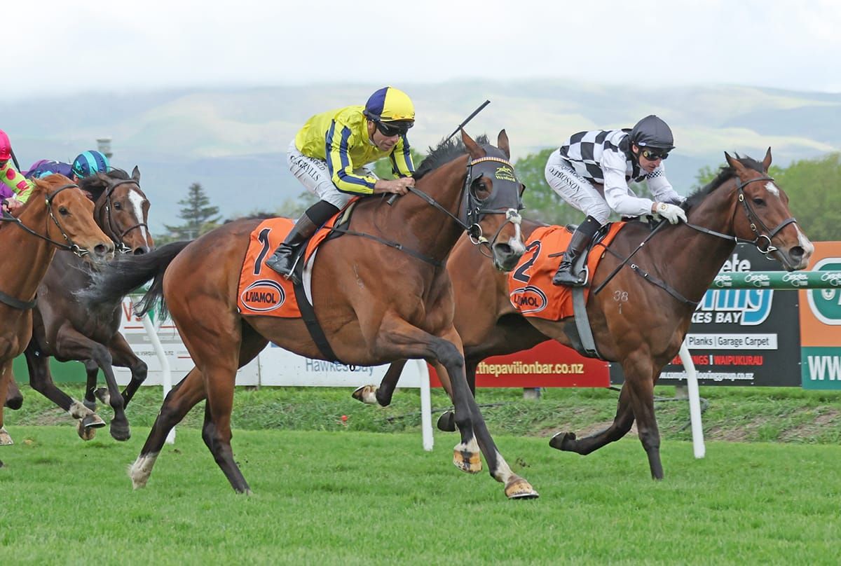 Waitak the warrior wins Hastings Group One war