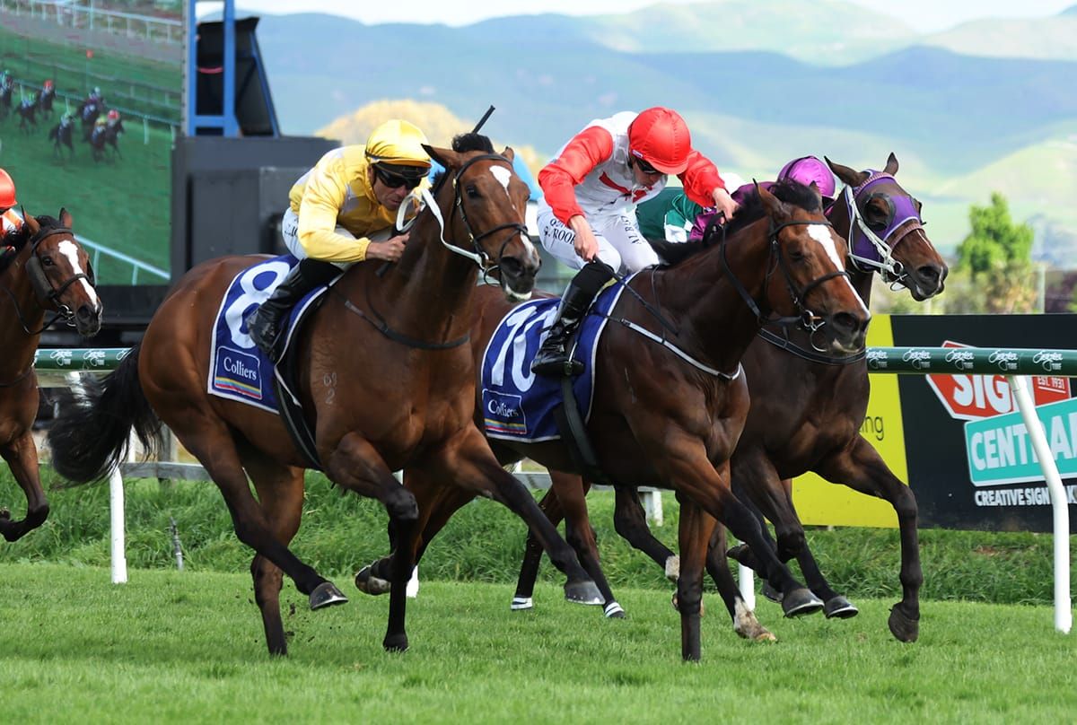 War Princess strikes Hastings hattrick