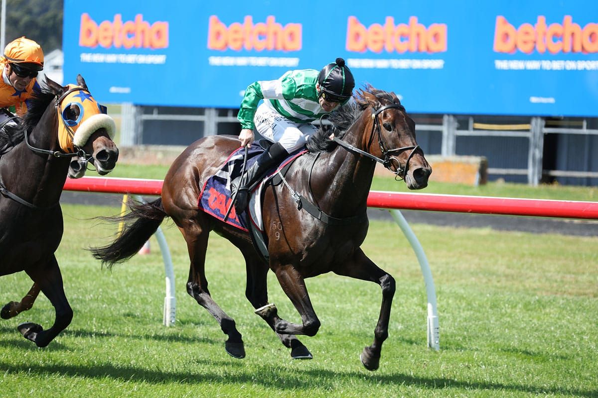 Breeder’s plan comes to fruition in Livamol