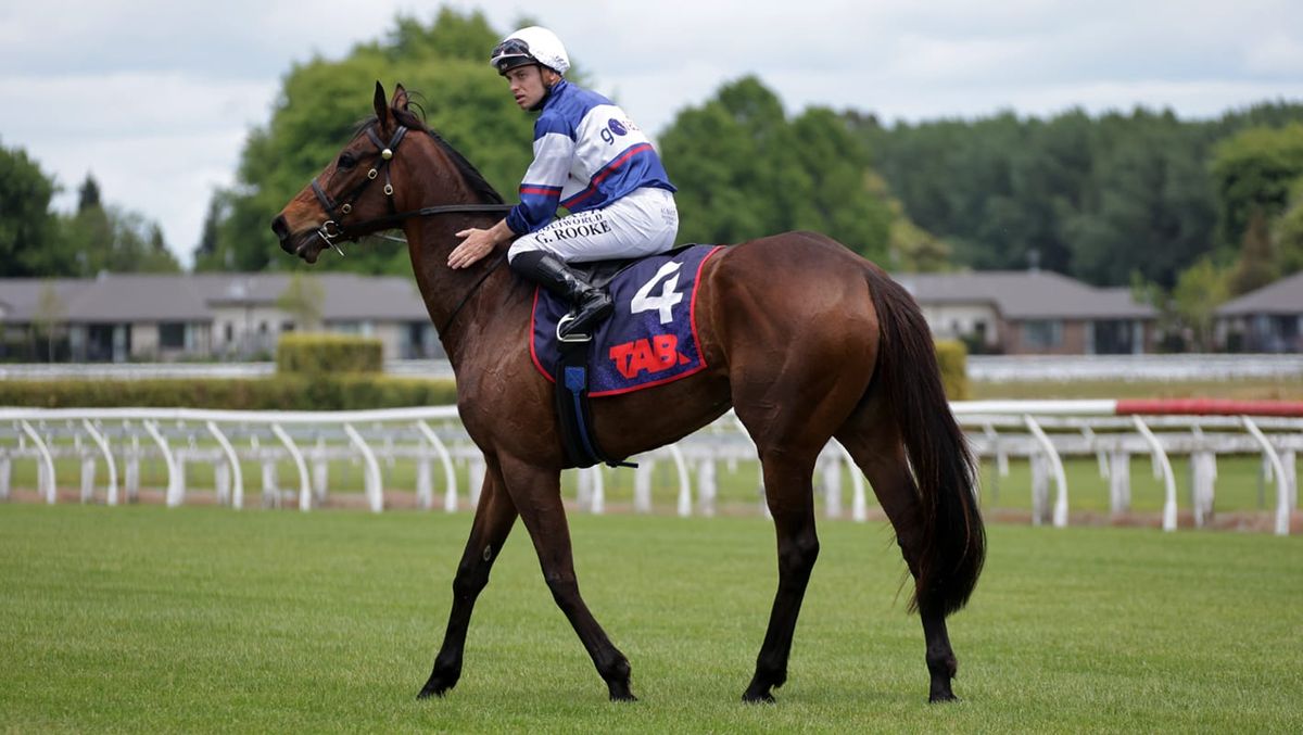 With Grace seals NZ Cup berth