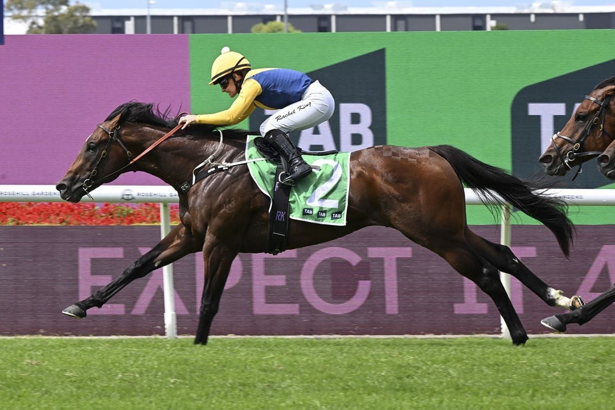 King back to gallop Warwoven