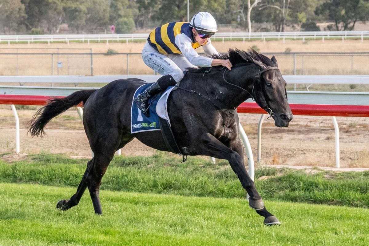 Seymour success gives Wymark country cup hat-trick