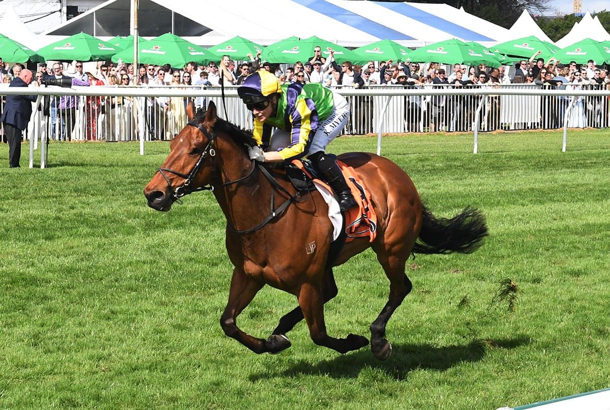 Connections in no rush with hot prospect Zorero