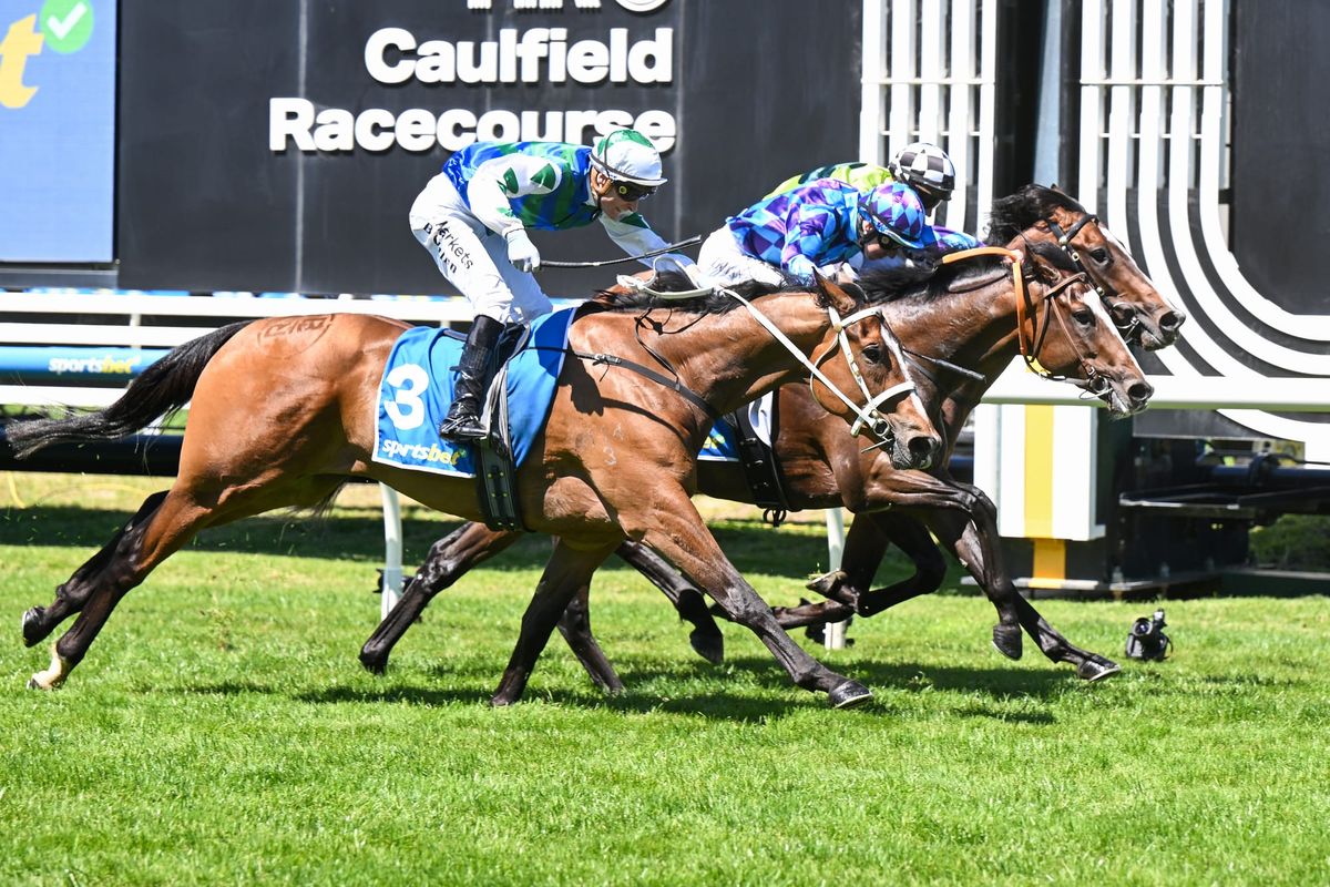 Cignetti primed for Victoria Derby test